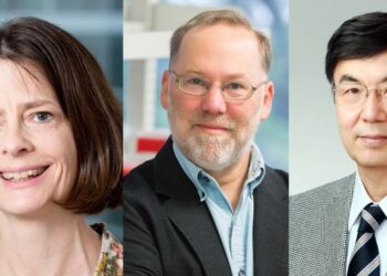 Nobel de médecine 2025 : Deux Américains et un Japonais honorés