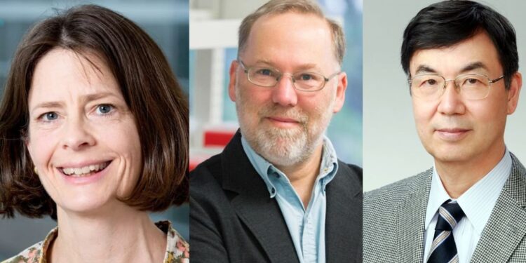 Nobel de médecine 2025 : Deux Américains et un Japonais honorés