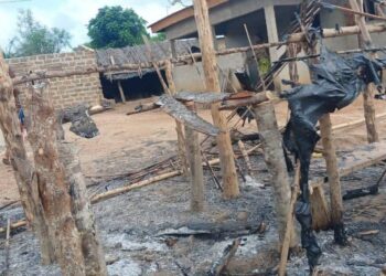 Issia : Trois morts et 19 blessés dans les affrontements de Nahio