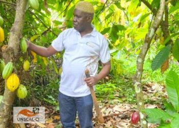 Café-cacao : De la physique-chimie à l’agriculture, le parcours du PCA de la SOCAHI