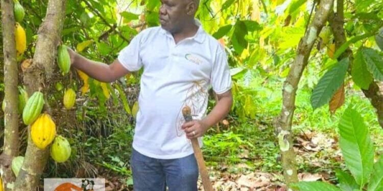 Café-cacao : De la physique-chimie à l’agriculture, le parcours du PCA de la SOCAHI