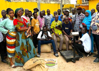 Système de traçabilité cacao: 30 délégués de la Coopérative SCINPA formés à l’usage des TPE