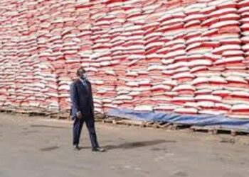 Sénégal : Pourquoi les importations de riz sont suspendues?
