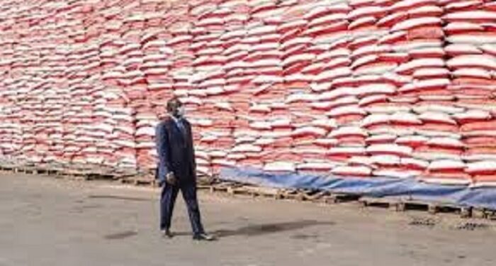 Sénégal : Pourquoi les importations de riz sont suspendues?