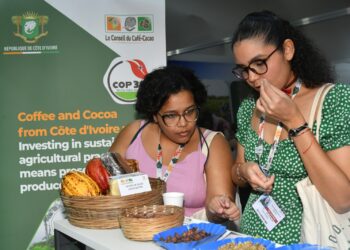 COP 30 au Brésil : Le café et le cacao ivoiriens séduisent les visiteurs du pavillon national