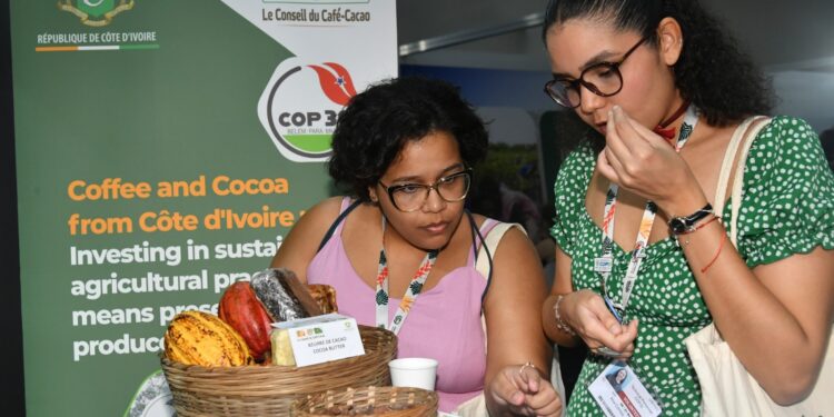 COP 30 au Brésil : Le café et le cacao ivoiriens séduisent les visiteurs du pavillon national
