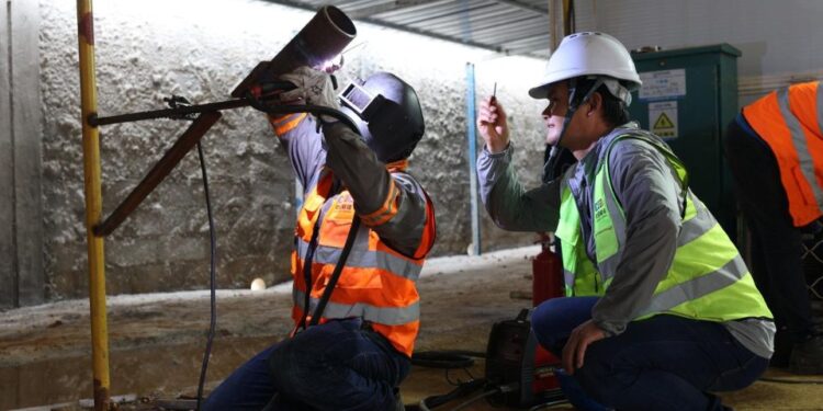 Côte d’Ivoire : La centrale de biomasse de Biovea crée plus de 1000 emplois