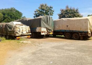Burkina : Plus de 66 tonnes d’amandes de karité saisies
