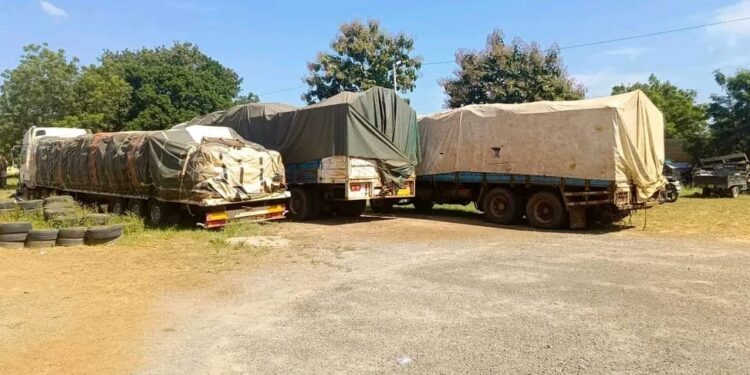 Burkina : Plus de 66 tonnes d’amandes de karité saisies