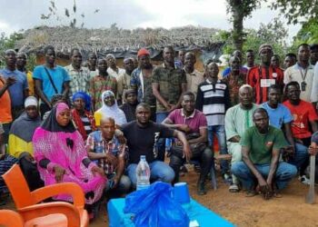 Café-cacao: A la découverte de la Société Coopérative Agricole Nouvelle de Para