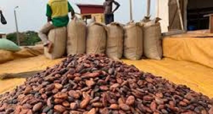 Café-Cacao : Des acheteurs fraudeurs mis aux arrêts pour non-respect des prix officiels
