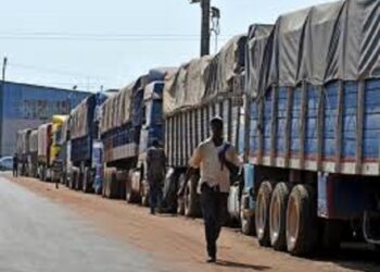 Exportations : Le Conseil du Café-Cacao régule les autorisations de transport des coopératives 