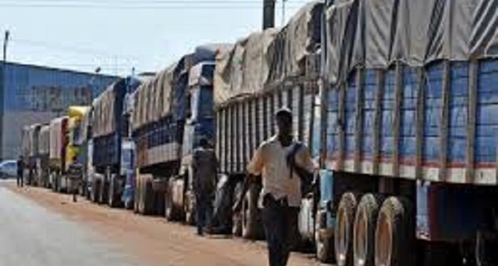 Exportations : Le Conseil du Café-Cacao régule les autorisations de transport des coopératives 