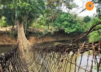 Côte d’Ivoire : Le pays va célébrer pendant un mois ses atouts touristiques