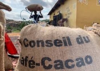 Blocage du cacao : Les enfants de planteurs interpellent l’État