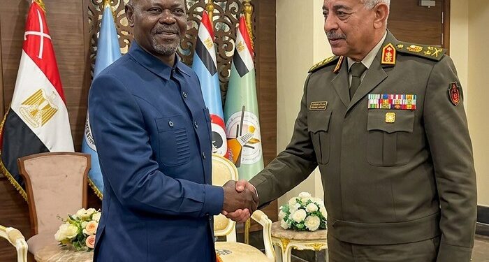 Défense : L’Égypte renforce sa coopération militaire avec la RDC