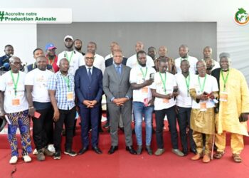 Côte d’Ivoire : Les aviculteurs réclament la suppression de la TVA de 9 % sur les intrants