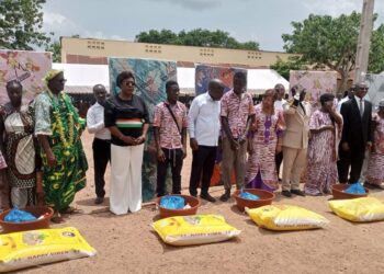 73e Journée de la lèpre : Pierre Dimba promet la gratuité de la CMU pour les malades