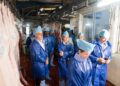 Yopougon : Le MIRAH et l’UE renforcent la sécurité sanitaire à l’abattoir porcin