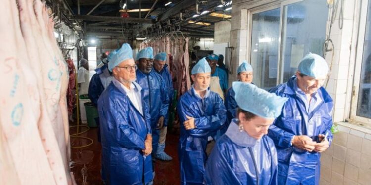Yopougon : Le MIRAH et l’UE renforcent la sécurité sanitaire à l’abattoir porcin