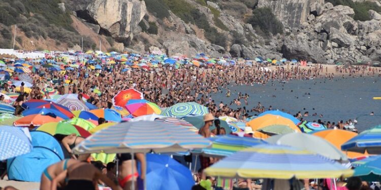 Allemagne : Plus de 5 000 morts lors des vagues de chaleur