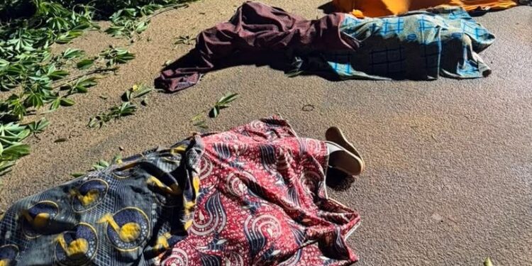 Bouaké : Trois morts dans la chute d’un fromager sur des personnes
