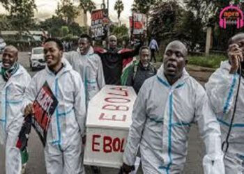 Ebola en RDC : Plus de 1000 morts enregistrés