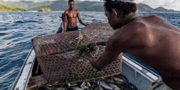 Côte d’Ivoire : La pêche artisanale maritime reprend dès 1er août