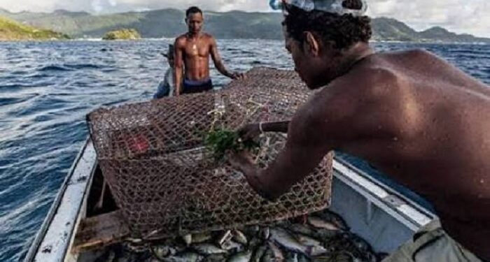 Côte d’Ivoire : La pêche artisanale maritime reprend dès 1er août