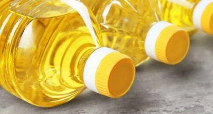 Sénégal : Les exportations d’huile d’arachide atteignent un record de 20,52 milliards FCFA
