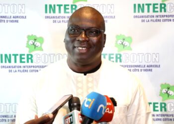 Intercoton : Ouattara Zana vise 600 000 tonnes de coton d’ici 2030