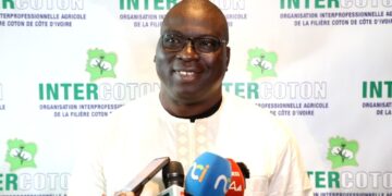 Intercoton : Ouattara Zana vise 600 000 tonnes de coton d’ici 2030
