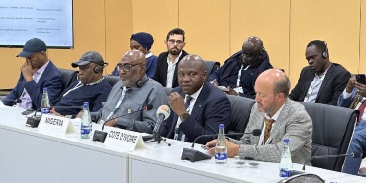 COP17 : Les États appelés à agir, l’Afrique lance une coalition contre l’orpaillage illégal