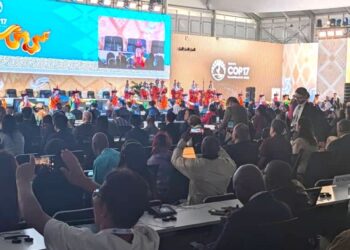 COP17 : La coopérative UPAS invitée à la CNULCD sur l’agroforesterie et la durabilité du cacao
