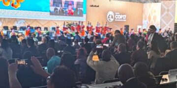 COP17 : La coopérative UPAS invitée à la CNULCD sur l’agroforesterie et la durabilité du cacao