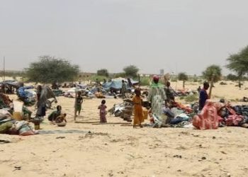 Mali : Au moins 48 civils tués dans une attaque à Ménaka