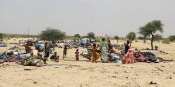 Mali : Au moins 48 civils tués dans une attaque à Ménaka